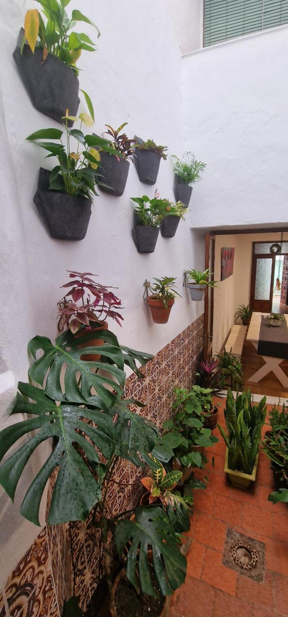 La Casa De Abuela Habitaciones Con Bano Compartido En El Casco Historico De Frigiliana "Solo Adultos" מראה חיצוני תמונה